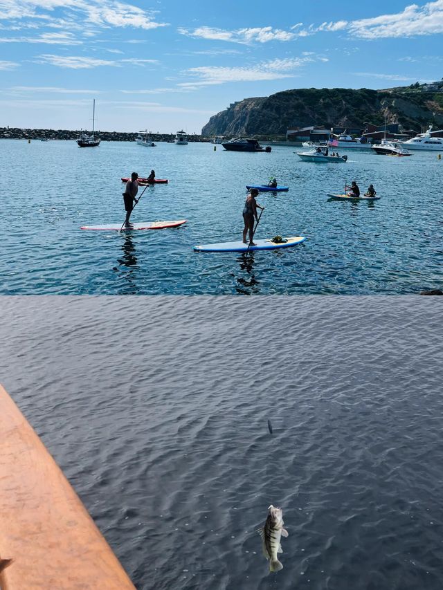 聖地牙哥海釣｜解鎖海釣的極致浪漫