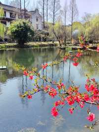 梅花洲