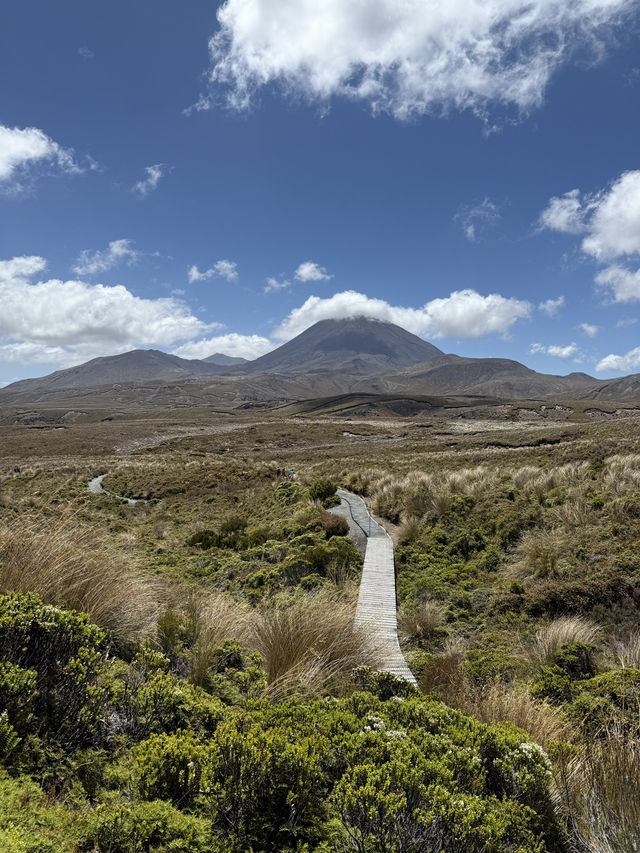 The Infamous Set Of Lord Of The Rings, Mount Tongariro Pass