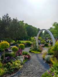 邂逅上海莫奈花園，沉浸式油畫之旅！