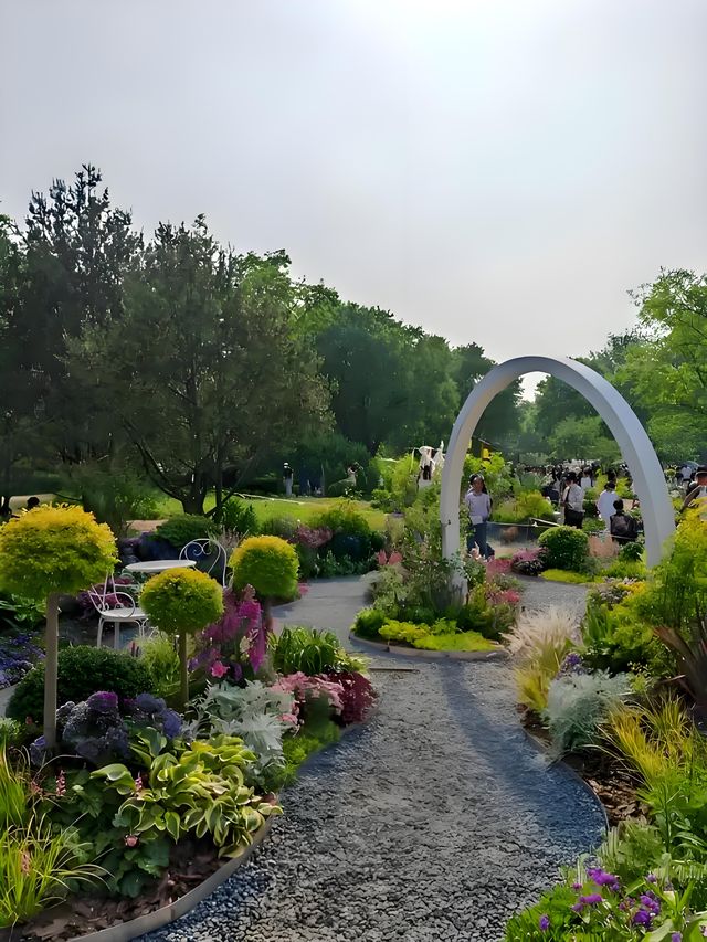 邂逅上海莫奈花園，沉浸式油畫之旅！