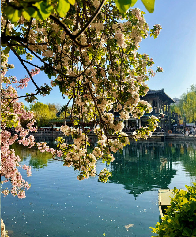濟南五龍潭公園，靚到突破天際啦！原圖直出嘅春日盛宴