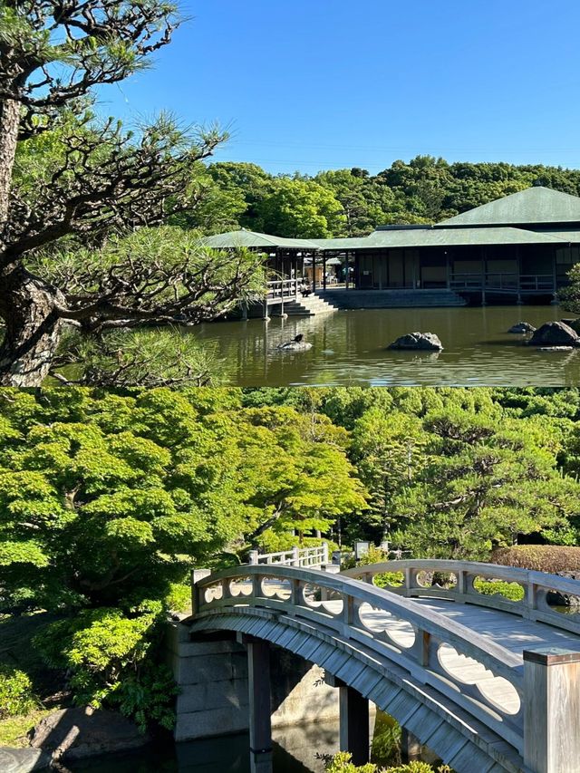 日本小眾寶藏地｜藏在大阪旁的千年古都堺市