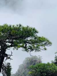 4日玩轉九江-景德鎮-上饒超詳細攻略 快收藏