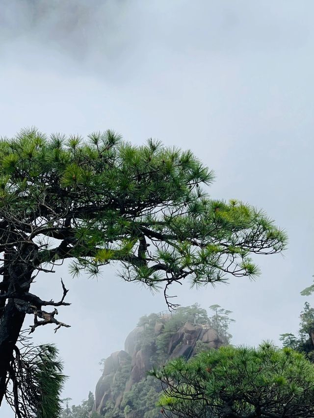 4日玩轉九江-景德鎮-上饒超詳細攻略 快收藏 4日玩轉九江-景德鎮-上饒超詳細攻略 快收藏