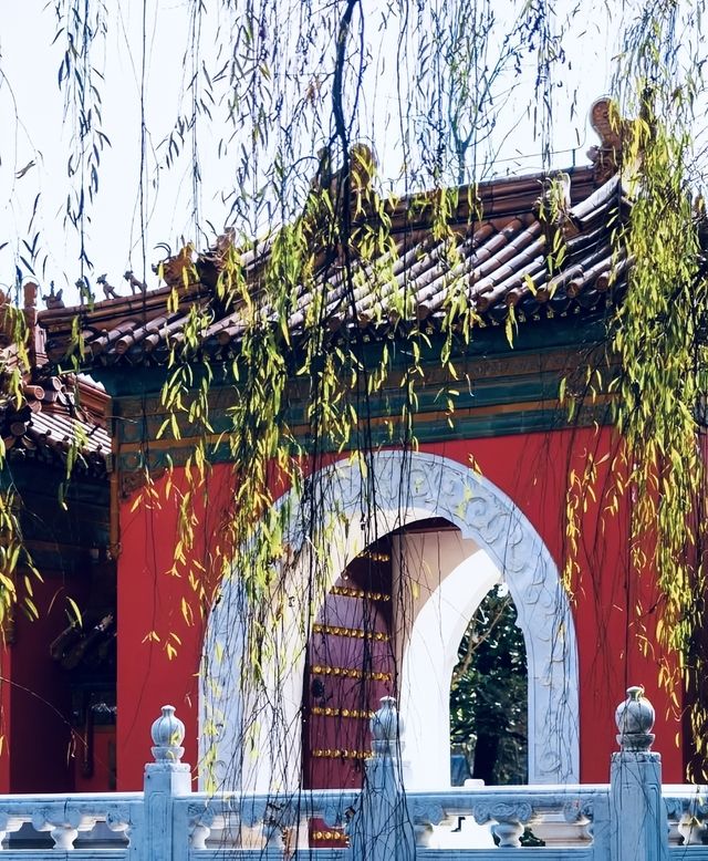 昆明盛大世博園，美景如畫令人醉！