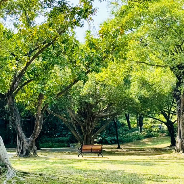 行山：深圳蓮花山公園