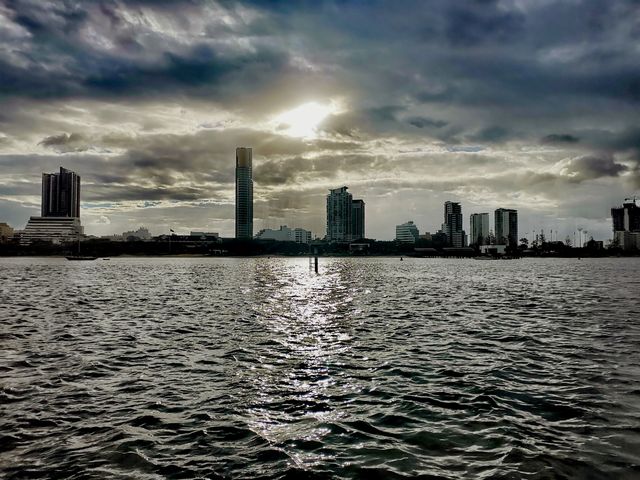 快樂行動派丨雨天遊艇出海，意外偶遇海豚