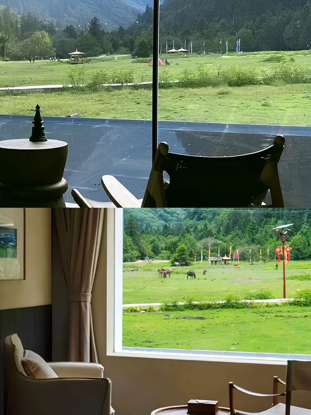 入住雨崩夢幻之境野語YEYU雨崩野景酒店