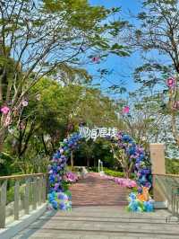 🌷珠海 | 城市客廳驚現夢幻花海鹿境