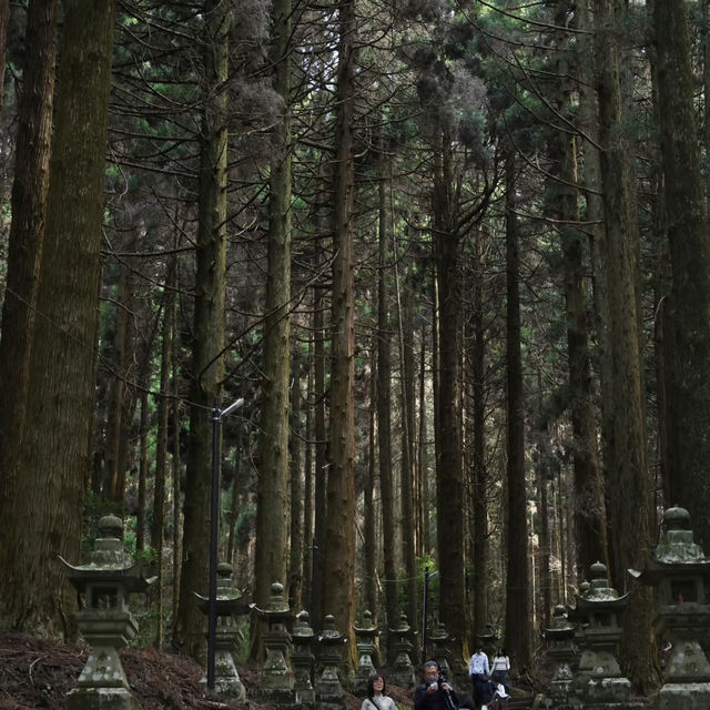 福岡Solo Trip｜邂逅大森宮的春日浪漫