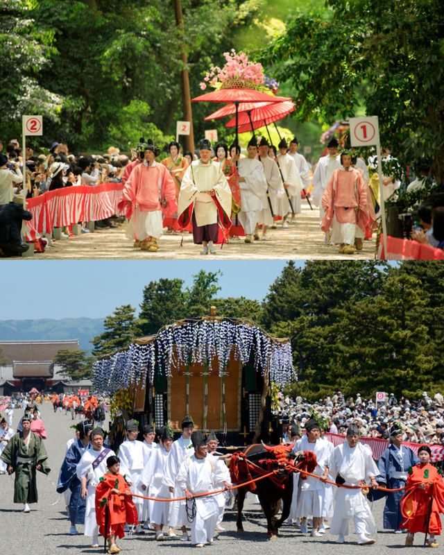 京都🪭葵祭——一年一度的三大祭典之首