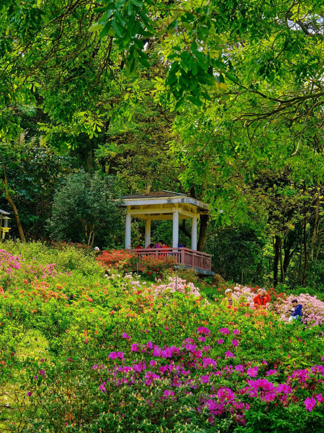 華南植物園：都市中的自然天堂