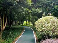 Guangxi Guilin National Forest Park: The Realm of Emerald Plants