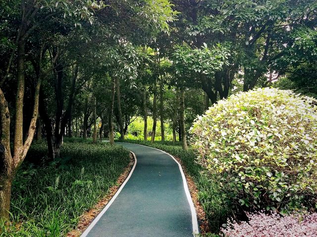 Guangxi Guilin National Forest Park: The Realm of Emerald Plants
