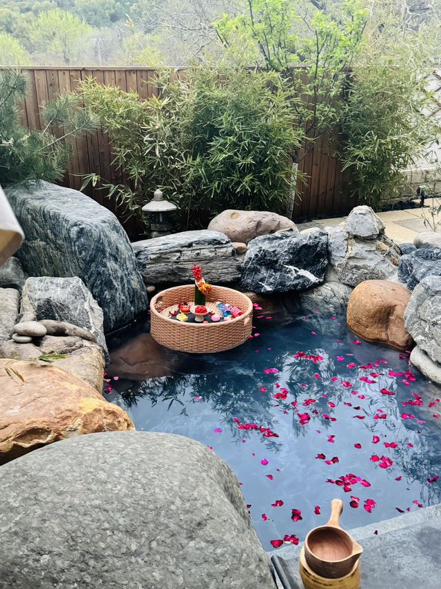 春天🪻真係好啱去浸溫泉！