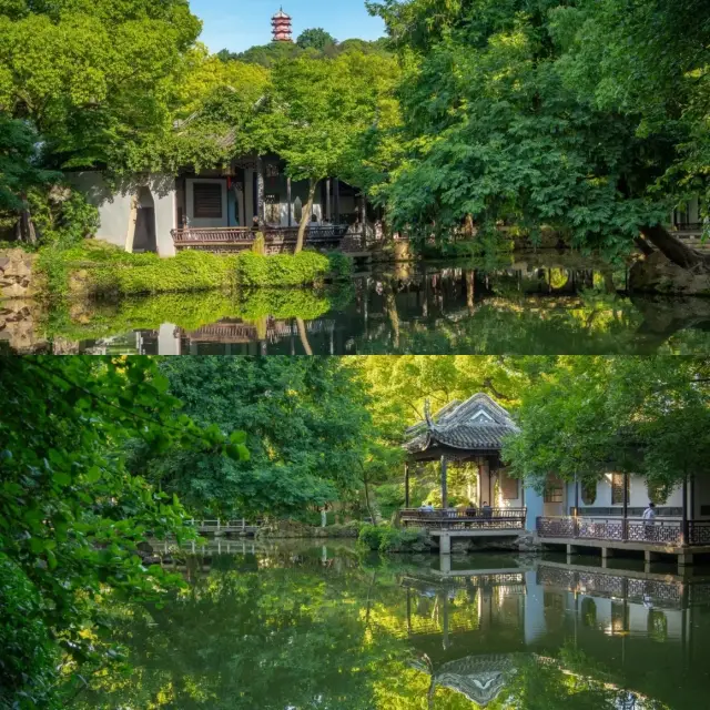 Come Learn How to Explore Jichang Garden Like a Pro!