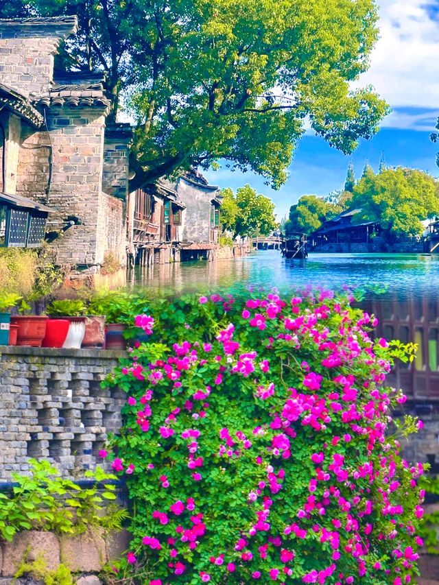杭州烏鎮一場邂逅詩意與浪漫的江南水鄉旅行