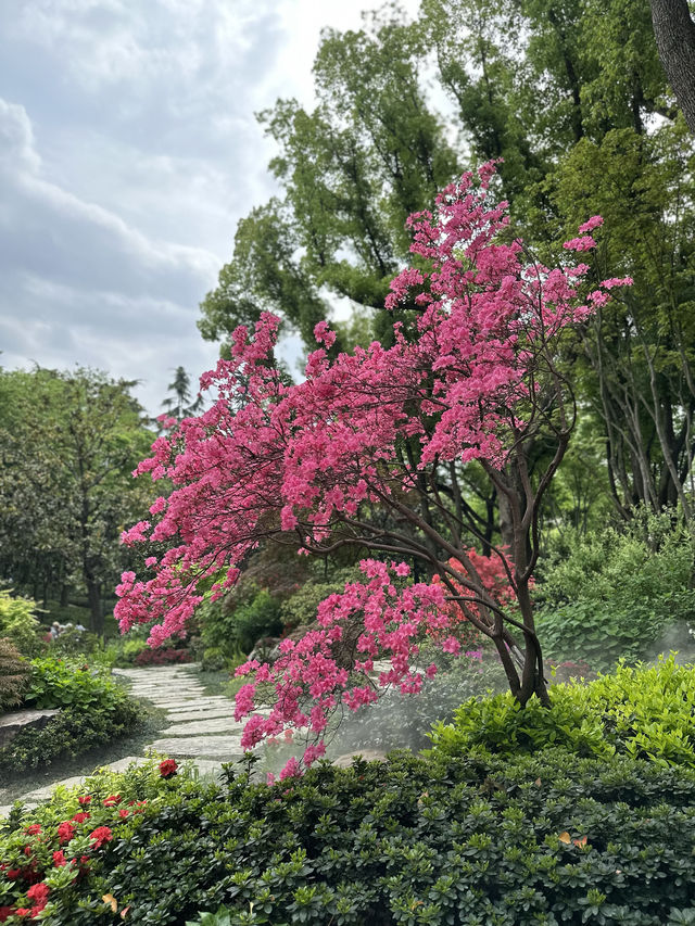 輔德里公園—疊石瀑布、杜鵑花海