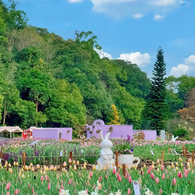 深圳仙湖植物園 | 必打卡景點推薦