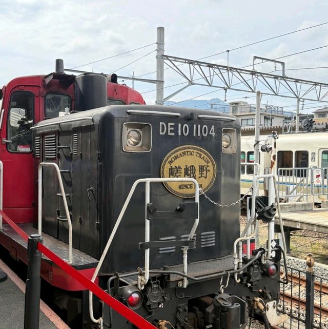 大阪奈良｜2025 年最療癒的關西之旅☺️下次還要來！ 