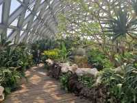 Dream Day at Chenshan Botanical Gardens