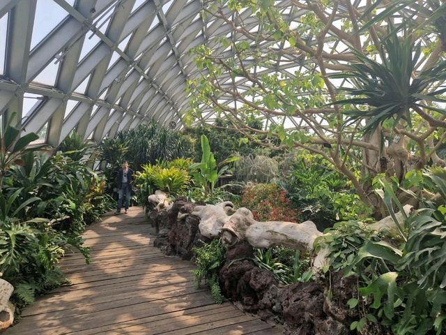 Dream Day at Chenshan Botanical Gardens