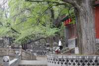 中國現存最早嘅皇家宗祠｜太原晉祠