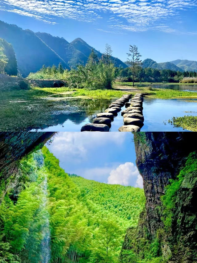 闖進萬畝竹海！這片竹海承包了整個夏天的清涼