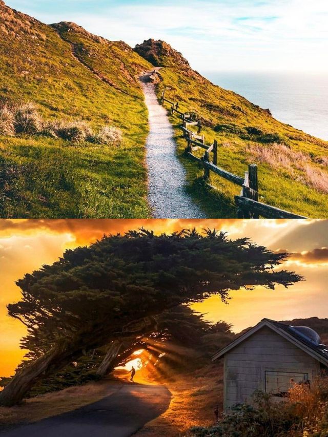 快啲嚟Point Reyes，展開一場浪漫又難忘嘅旅程啦！