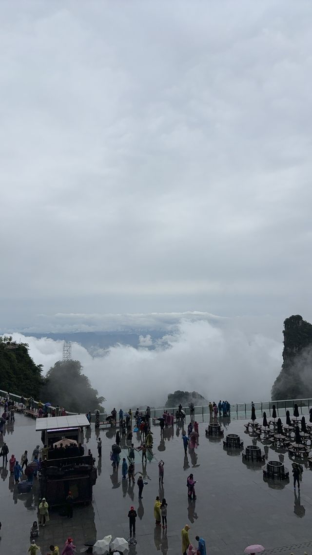 天門山遊玩心得：提前準備和拍照技巧全攻略 去天門山玩咗一圈，真心有啲嘢想同大家分享。特別係嗰啲單曲循