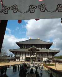 京都＆奈良＆宇治攻略，穿越關西3大名城。