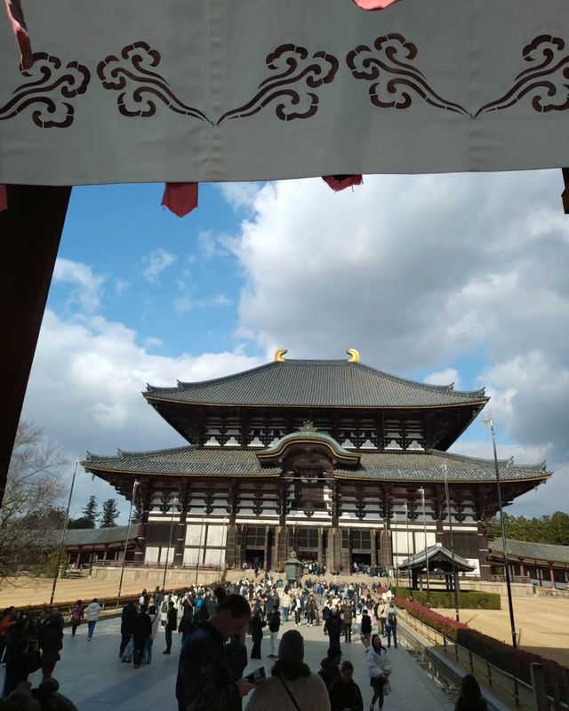 京都＆奈良＆宇治攻略，穿越關西3大名城。