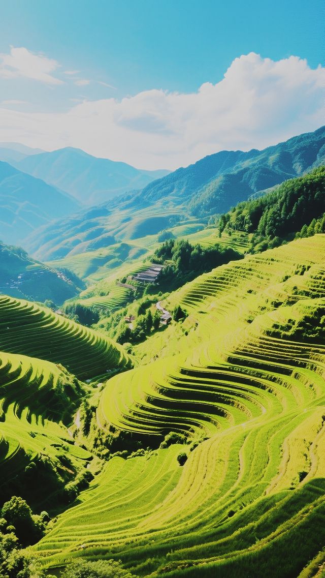 龍脊梯田：大地之上的夢幻田園詩畫