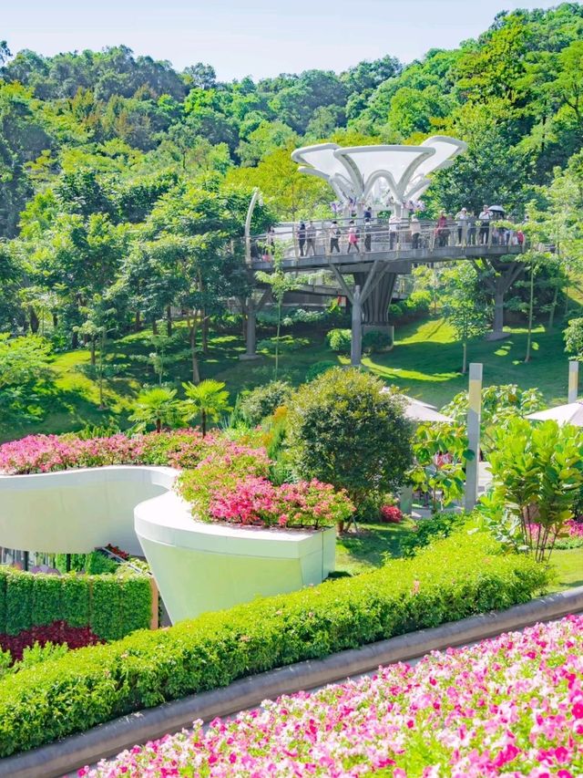 Guangzhou Yulong  Botanical Garden is so Amazing❤️🥰