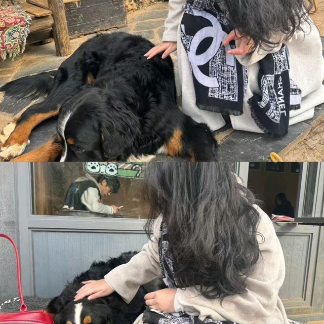 🌟麗江古韻與自然秘境之旅🌟