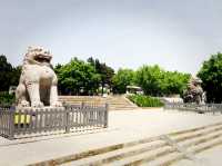 24-Hour Exploration of Yan'an: A Cultural Odyssey