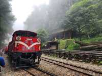 🌟 Kaohsiung in 72 Hours: Trains, Temples & Tropical Vibes 🌴🚆🌟 