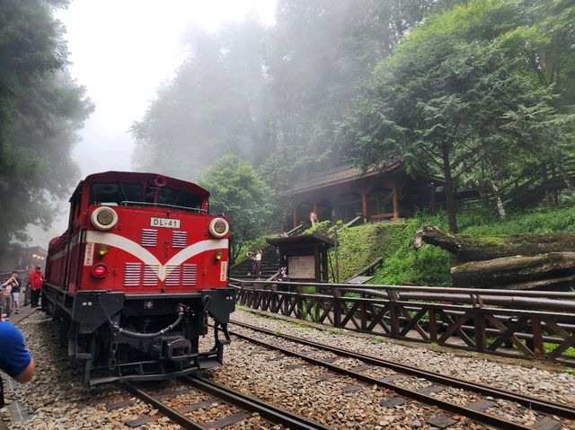 🌟 Kaohsiung in 72 Hours: Trains, Temples & Tropical Vibes 🌴🚆🌟 