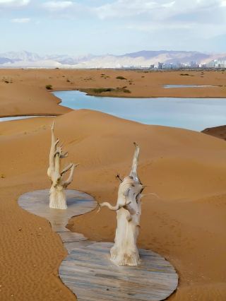 Left hand desert, right hand sea! Wuhai's 3-day 2-night divine itinerary that 99% of visitors miss