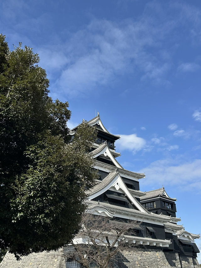 Towering Kumamoto Castle 🇯🇵🏯