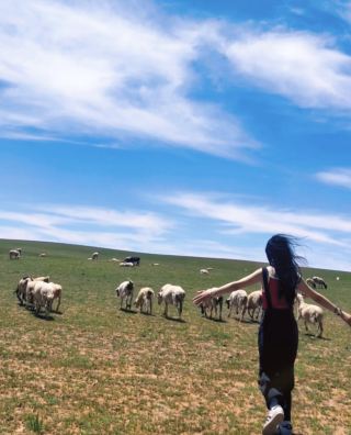 Galloping Across the Grasslands, Singing in the Desert, and Exploring Ancient Temples
