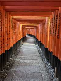 Kyoto, Japan’s Best Budget City? So Many Free Attractions! Everyone Can Come :D 
