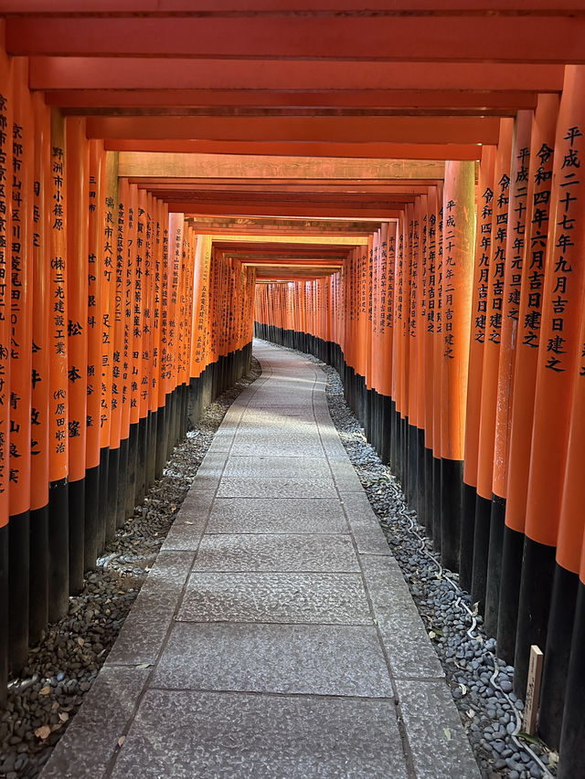 Kyoto, Japan’s Best Budget City? So Many Free Attractions! Everyone Can Come :D 