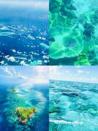 探索西沙群島｜邂逅人間仙境般的碧海珊瑚與靈動海龜