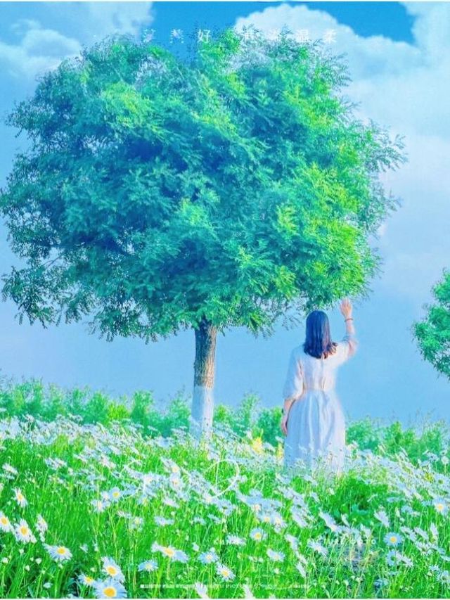 天津受罪之旅已結束，真係唔建議6月份嚟