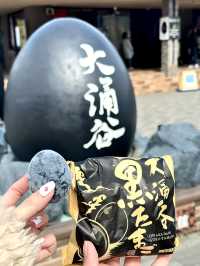 箱根：溫泉與藝術嘅山水詩
