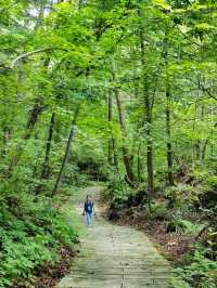 帶住小朋友去咗22℃嘅長白山，真係比瑞士仲震撼