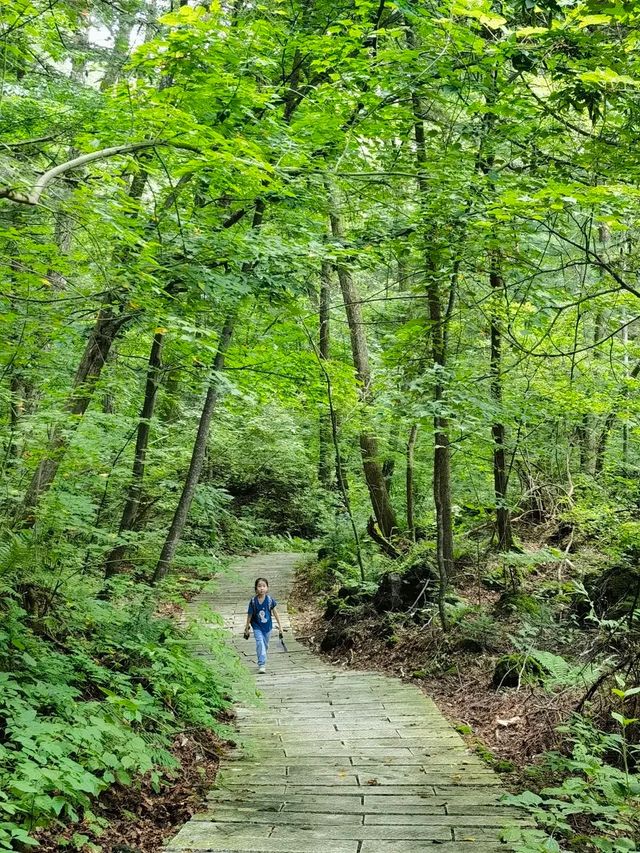 帶住小朋友去咗22℃嘅長白山，真係比瑞士仲震撼