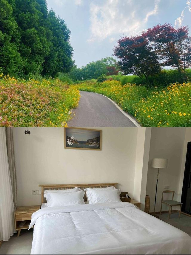 南山民宿，歸心之旅好住處